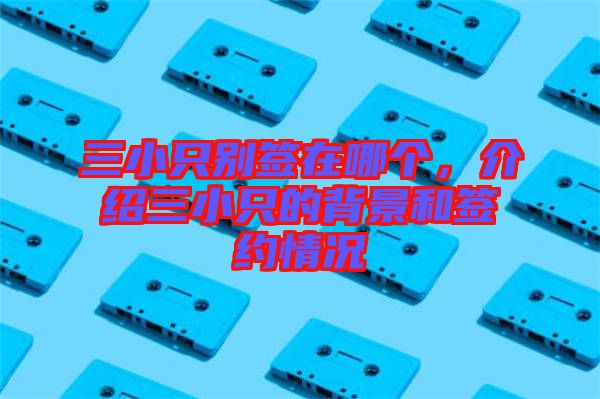 三小只別簽在哪個(gè)，介紹三小只的背景和簽約情況