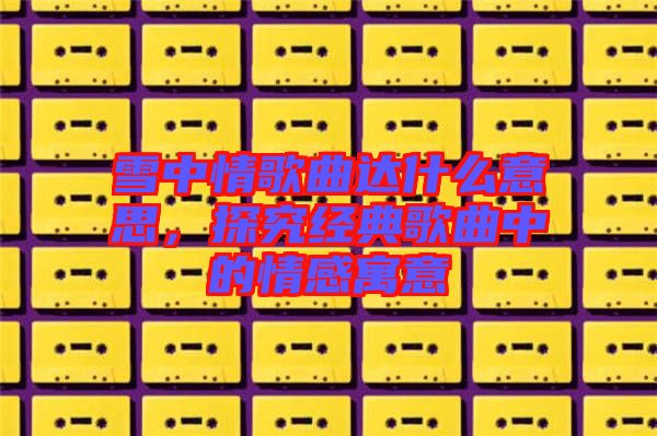 雪中情歌曲達(dá)什么意思，探究經(jīng)典歌曲中的情感寓意
