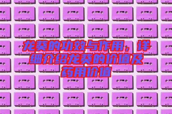 龍葵的功效與作用，詳細(xì)介紹龍葵的價(jià)值及藥用價(jià)值