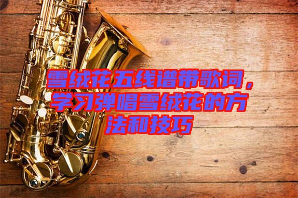 雪絨花五線譜帶歌詞，學(xué)習(xí)彈唱雪絨花的方法和技巧
