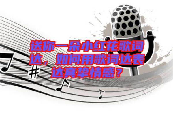 送你一朵小紅花歌詞達，如何用歌詞達表達真摯情感？