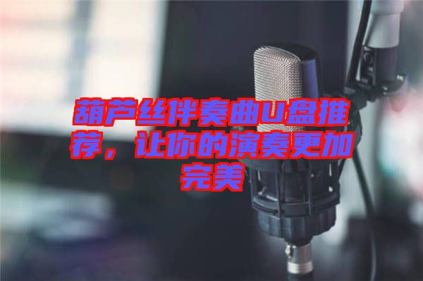 葫蘆絲伴奏曲U盤(pán)推薦，讓你的演奏更加完美