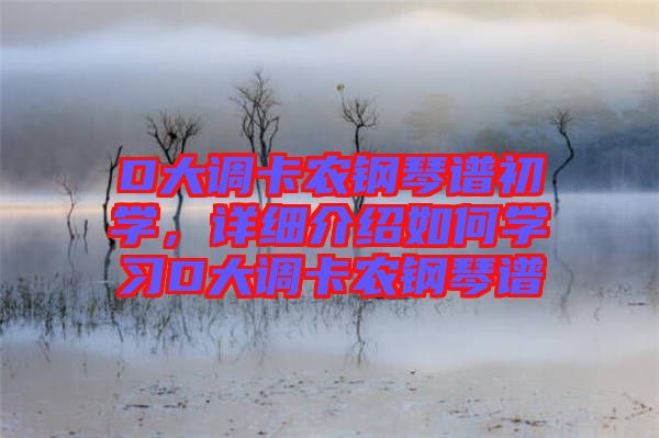 D大調(diào)卡農(nóng)鋼琴譜初學(xué)，詳細介紹如何學(xué)習(xí)D大調(diào)卡農(nóng)鋼琴譜