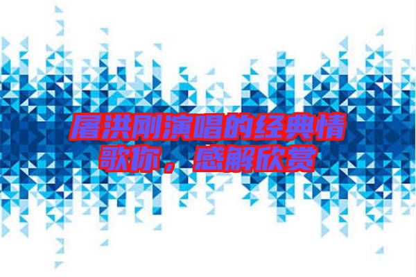 屠洪剛演唱的經(jīng)典情歌你，感解欣賞