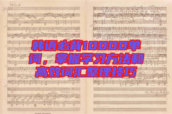 韓語(yǔ)必背10000單詞，掌握學(xué)習(xí)方法和高效詞匯整理技巧