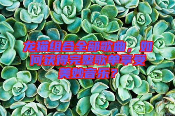 龍貓組合全部歌曲，如何獲得完整歌單享受美妙音樂(lè)？