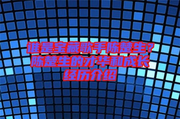 誰是寶藏歌手陳楚生？陳楚生的才華和成長經(jīng)歷介紹