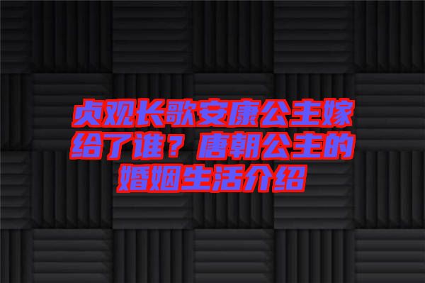貞觀長(zhǎng)歌安康公主嫁給了誰(shuí)？唐朝公主的婚姻生活介紹