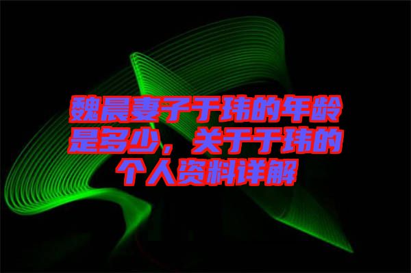 魏晨妻子于瑋的年齡是多少，關(guān)于于瑋的個(gè)人資料詳解