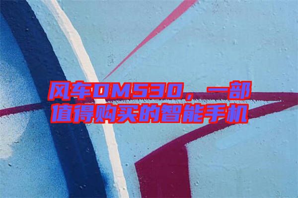 風(fēng)車DM530，一部值得購(gòu)買的智能手機(jī)
