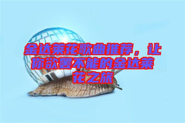 金達(dá)萊花歌曲推薦，讓你欲罷不能的金達(dá)萊花之旅
