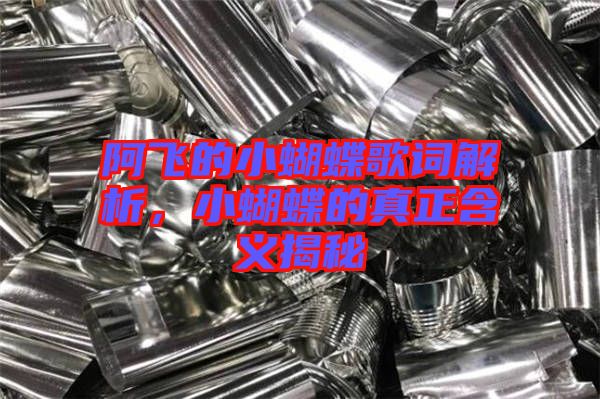 阿飛的小蝴蝶歌詞解析，小蝴蝶的真正含義揭秘