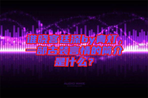 誰曉宮廷深by青燈，一部古裝言情的簡介是什么？