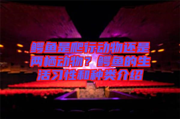 鱷魚是爬行動(dòng)物還是兩棲動(dòng)物？鱷魚的生活習(xí)性和種類介紹