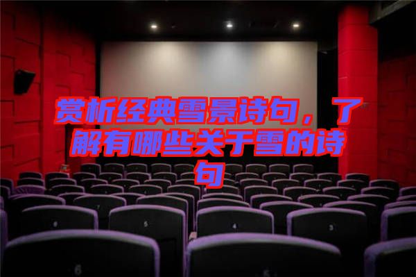 賞析經(jīng)典雪景詩(shī)句，了解有哪些關(guān)于雪的詩(shī)句