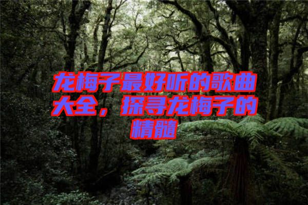 龍梅子最好聽(tīng)的歌曲大全，探尋龍梅子的精髓