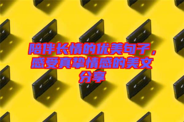 陪伴長情的優(yōu)美句子，感受真摯情感的美文分享