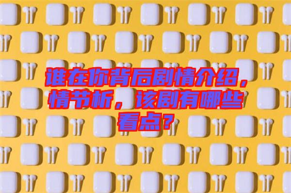 誰(shuí)在你背后劇情介紹，情節(jié)析，該劇有哪些看點(diǎn)？