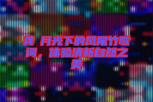 龔玥月光下的鳳尾竹歌詞，體驗清新自然之美