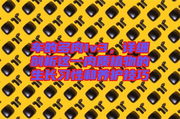 車的多肉1v3，詳細剖析這一肉質(zhì)植物的生長習性和養(yǎng)護技巧