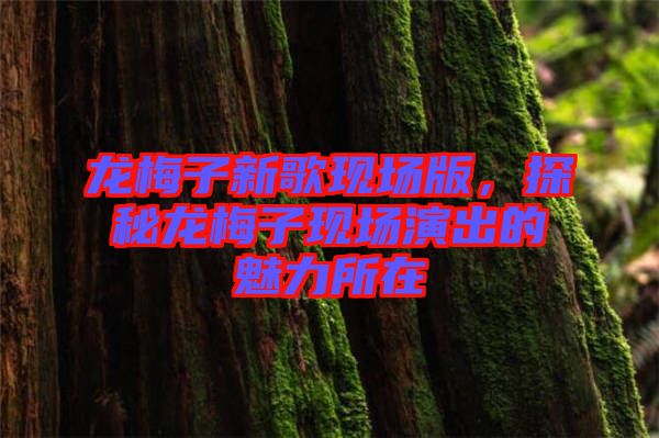 龍梅子新歌現(xiàn)場(chǎng)版，探秘龍梅子現(xiàn)場(chǎng)演出的魅力所在