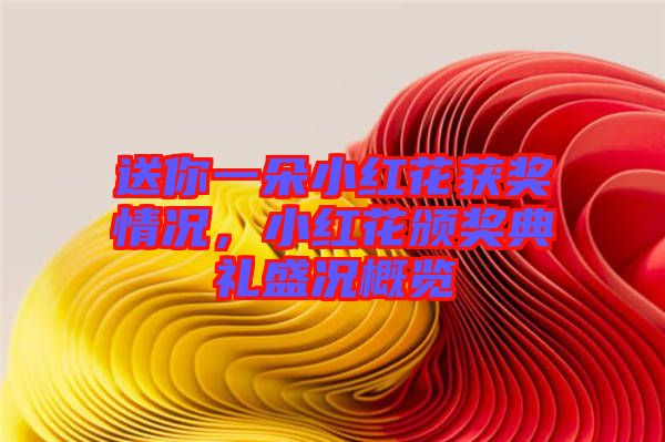 送你一朵小紅花獲獎情況，小紅花頒獎典禮盛況概覽