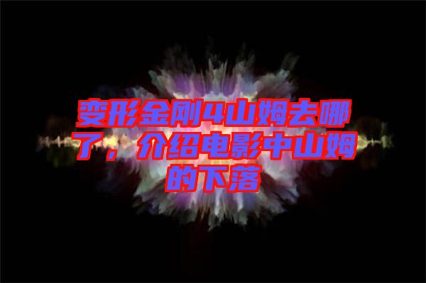 變形金剛4山姆去哪了，介紹電影中山姆的下落