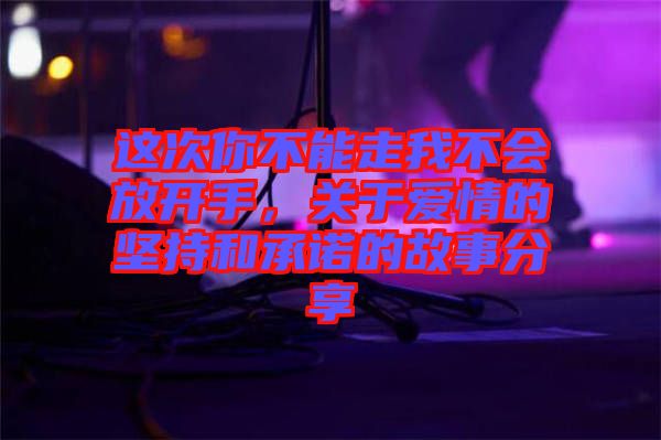 這次你不能走我不會(huì)放開(kāi)手，關(guān)于愛(ài)情的堅(jiān)持和承諾的故事分享