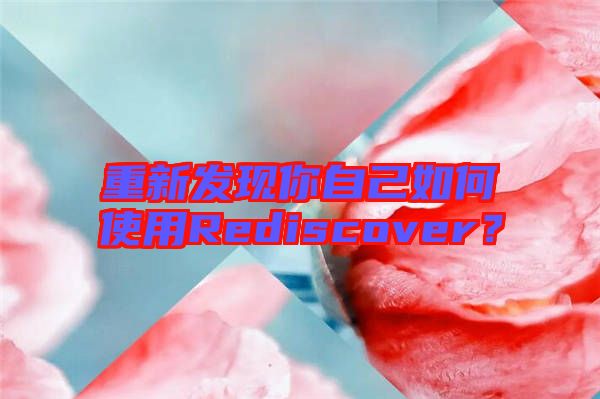 重新發(fā)現(xiàn)你自己如何使用Rediscover？
