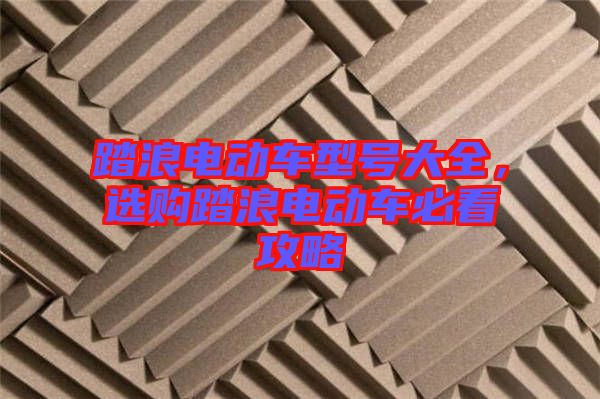 踏浪電動車型號大全，選購踏浪電動車必看攻略