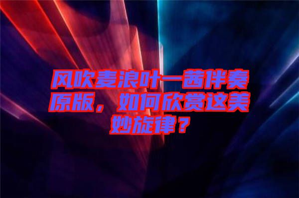 風(fēng)吹麥浪葉一茜伴奏原版，如何欣賞這美妙旋律？