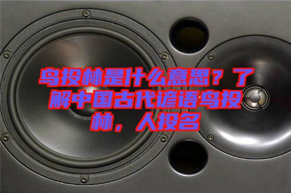 鳥投林是什么意思？了解中國古代諺語鳥投林，人投名