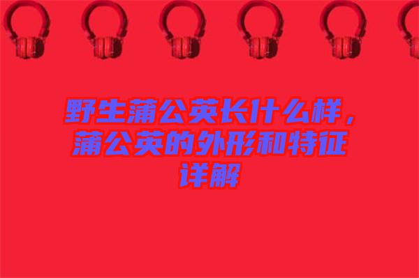 野生蒲公英長(zhǎng)什么樣，蒲公英的外形和特征詳解