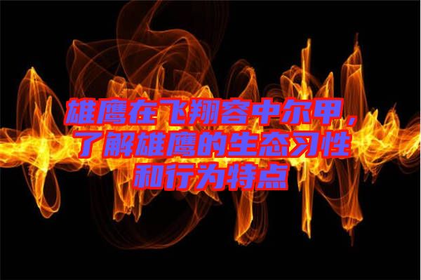 雄鷹在飛翔容中爾甲，了解雄鷹的生態(tài)習(xí)性和行為特點(diǎn)