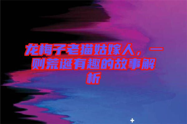 龍梅子老貓姑嫁人，一則荒誕有趣的故事解析