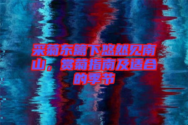 采菊東籬下悠然見(jiàn)南山，賞菊指南及適合的季節(jié)