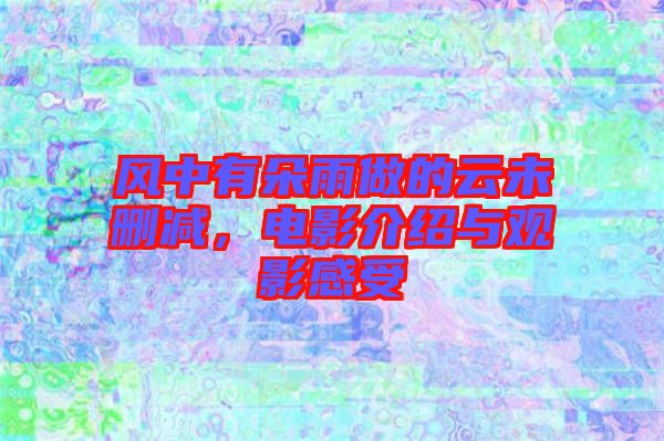 風(fēng)中有朵雨做的云未刪減，電影介紹與觀影感受