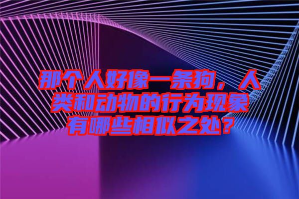 那個人好像一條狗，人類和動物的行為現(xiàn)象有哪些相似之處？