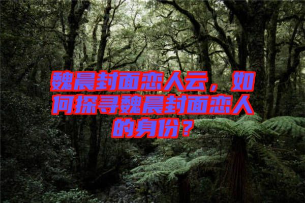 魏晨封面戀人云，如何探尋魏晨封面戀人的身份？