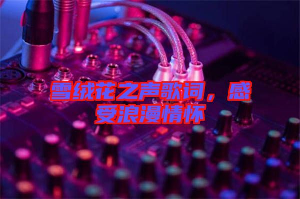 雪絨花之聲歌詞，感受浪漫情懷