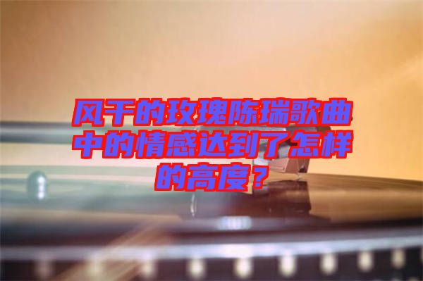 風(fēng)干的玫瑰陳瑞歌曲中的情感達(dá)到了怎樣的高度？