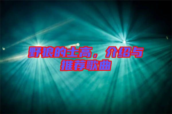 野狼的士高，介紹與推薦歌曲
