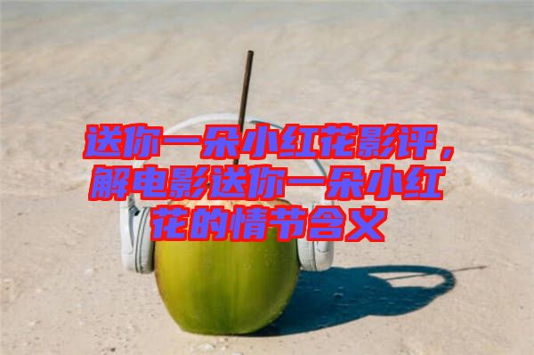 送你一朵小紅花影評，解電影送你一朵小紅花的情節(jié)含義