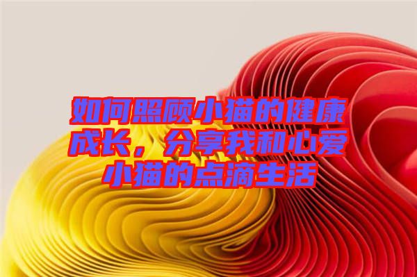 如何照顧小貓的健康成長，分享我和心愛小貓的點(diǎn)滴生活