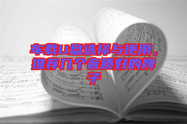 車載U盤選擇與使用，推薦幾個音質(zhì)好的牌子