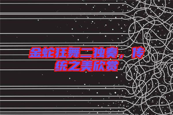 金蛇狂舞二獨奏，傳統(tǒng)之美欣賞
