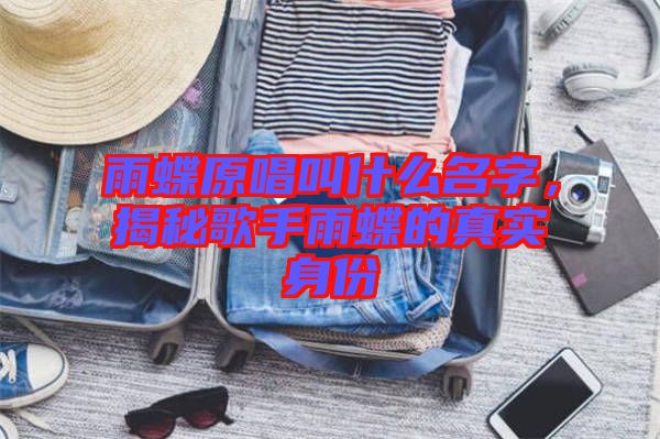 雨蝶原唱叫什么名字，揭秘歌手雨蝶的真實(shí)身份