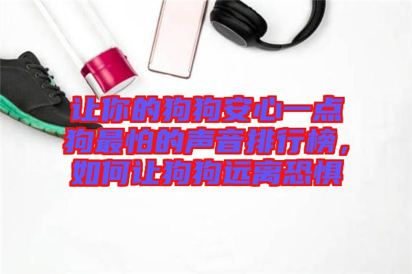 讓你的狗狗安心一點狗最怕的聲音排行榜，如何讓狗狗遠(yuǎn)離恐懼