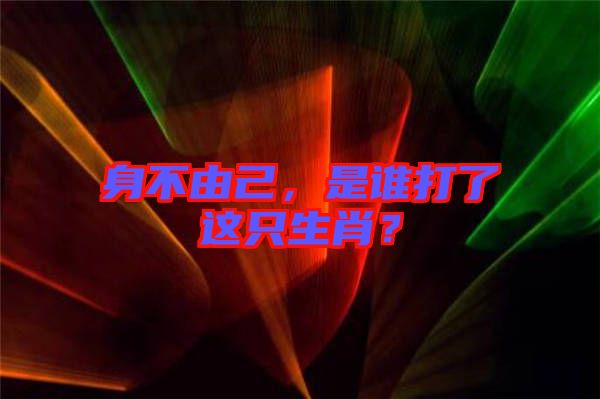 身不由己，是誰打了這只生肖？