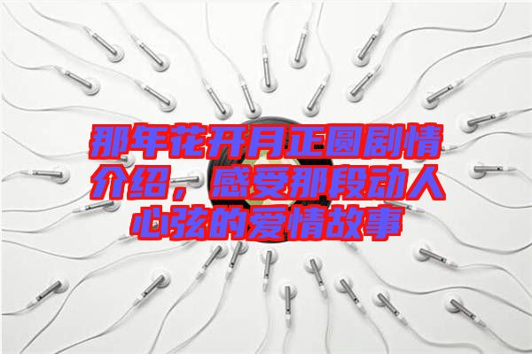 那年花開(kāi)月正圓劇情介紹，感受那段動(dòng)人心弦的愛(ài)情故事